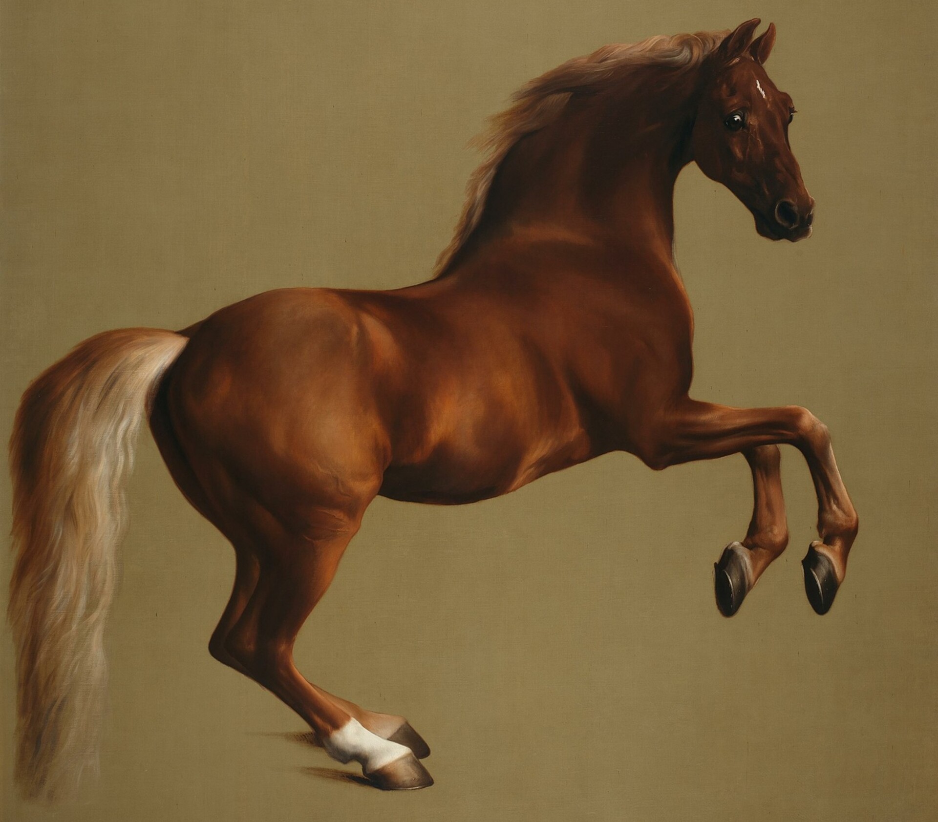 NationalGallery8_gallery