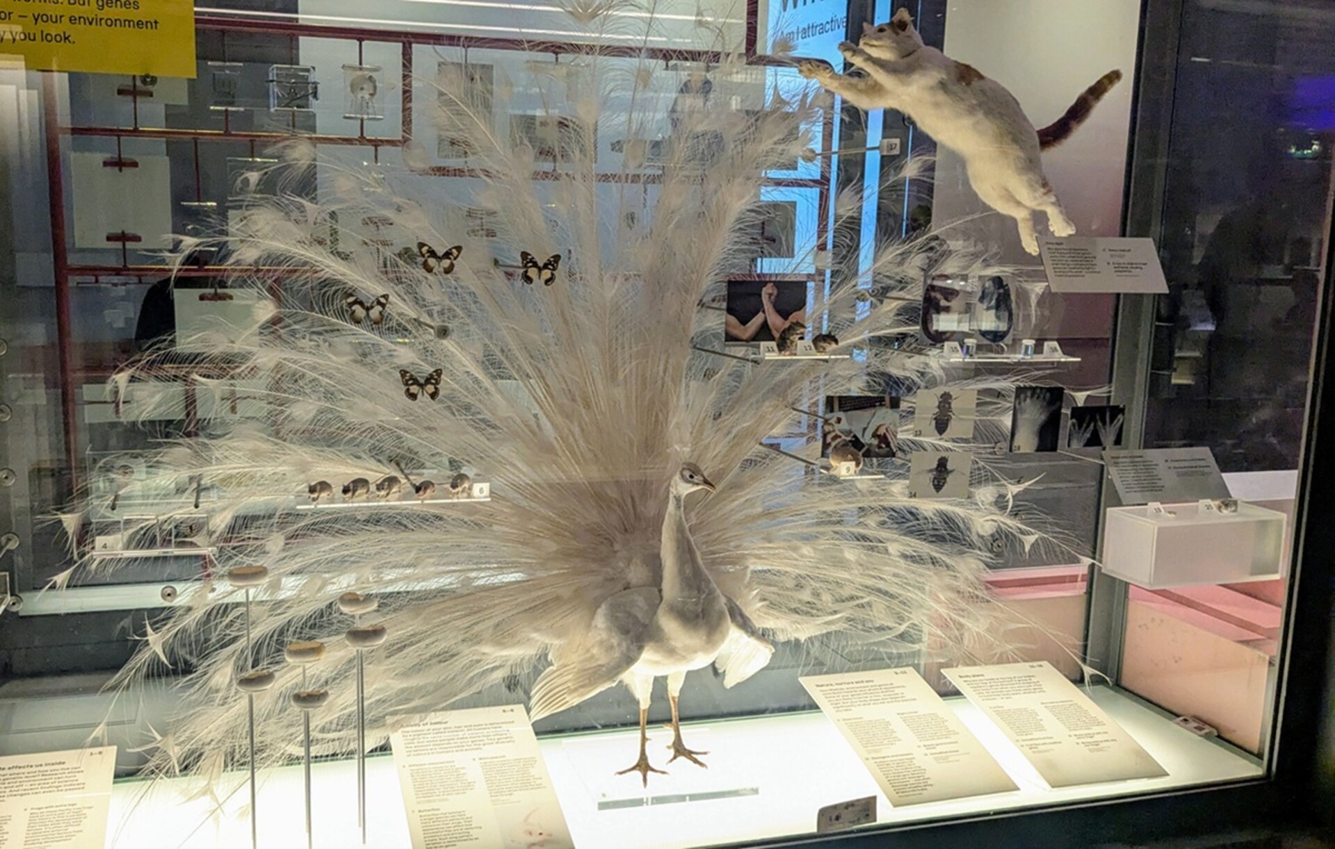 ScienceMuseum5_gallery