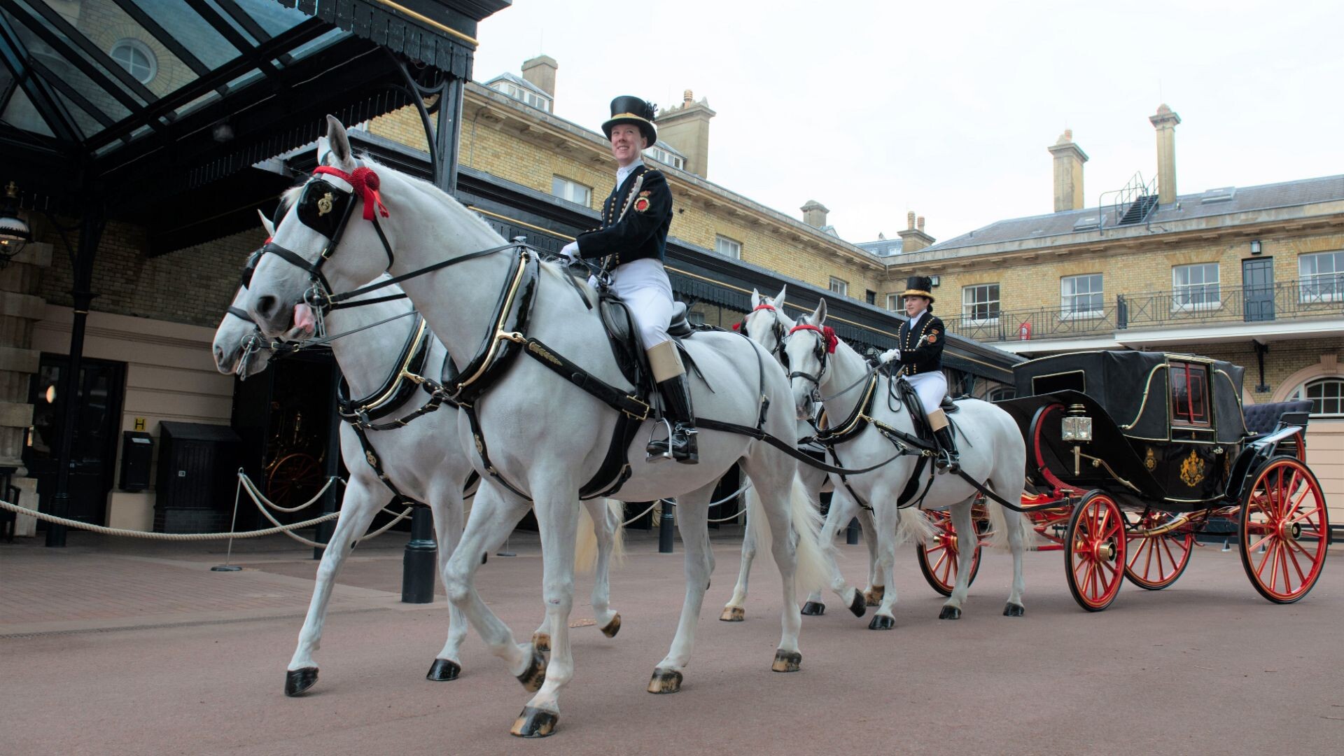 img_1737120641_1737120651__windsorgreyhorseswithcarriagetheroyalmews_gallery