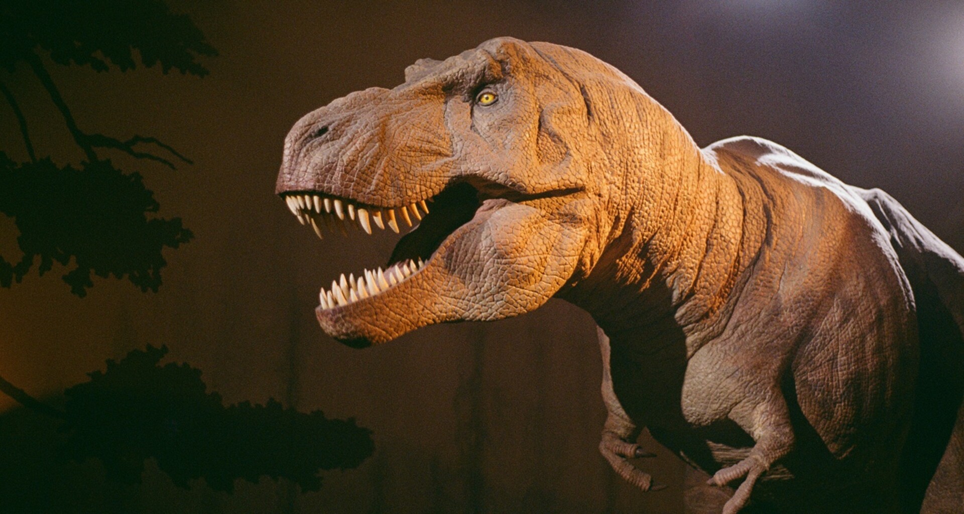 naturalhistorymuseum3_gallery