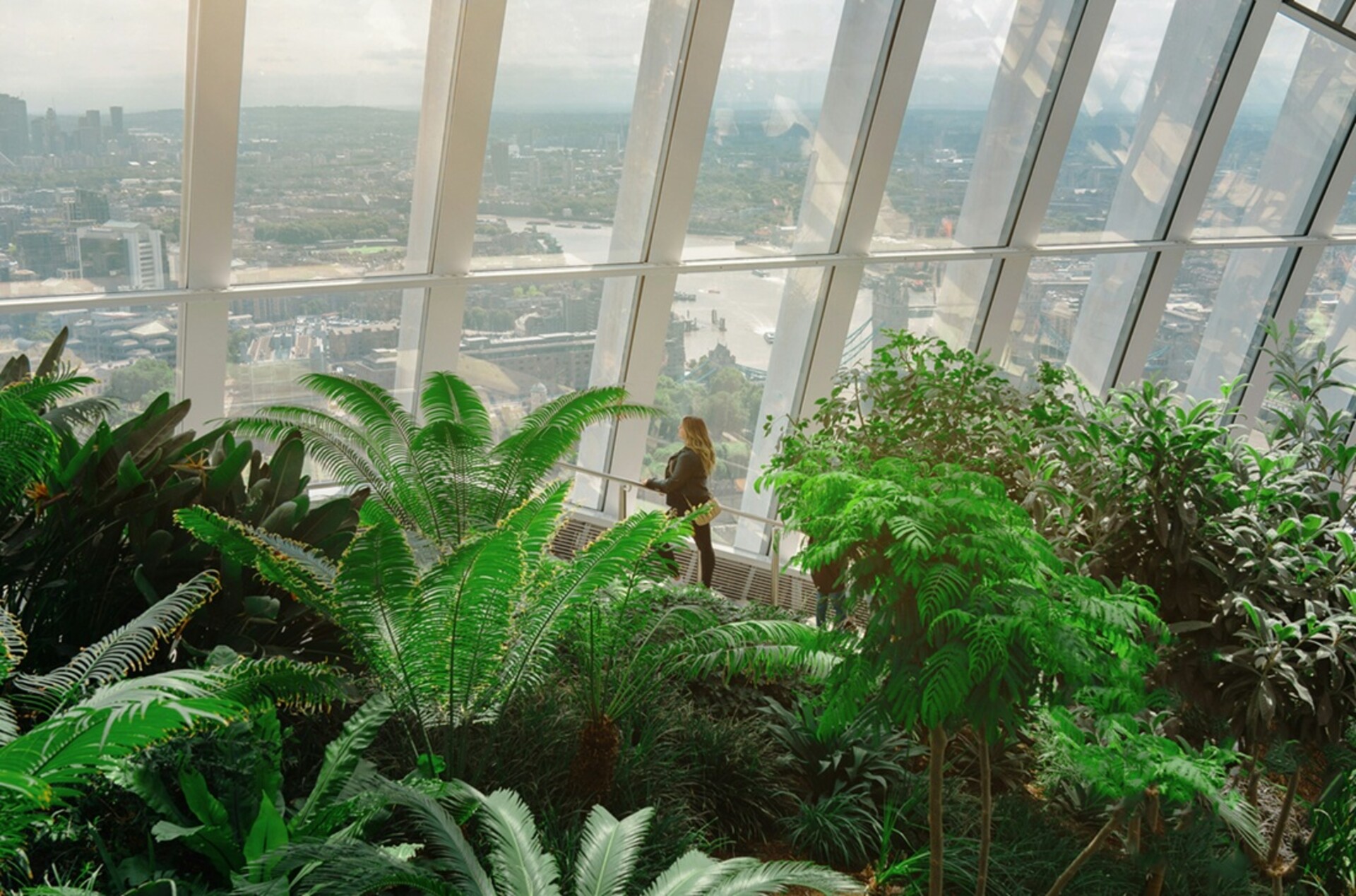 skygarden3_gallery